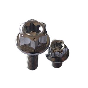M6 big head titanium flange head bolts for motorcycle